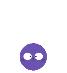 快猫星云 联系方式